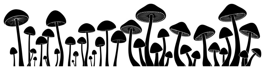 Wild mushrooms growing in a row in black silhouette style © Katarzyna