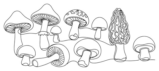 Mushrooms of different wild species growing together in continuous line art style © Katarzyna