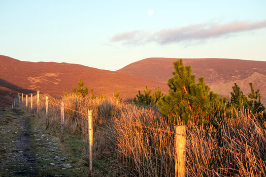 The paps - County Cork - Ireland