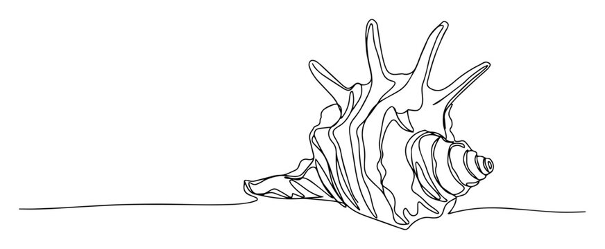 Seashell conch shell on horizon in continuous single line art style