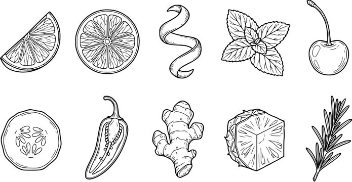 Collection of hand drawn organic fruit, vegetable and herb icons for cocktail and culinary ingredients in outline style