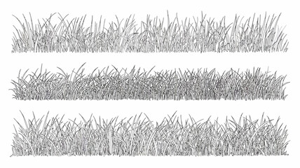 three rows of grass line drawing sketch botanical nature vegetation landscape monochrome black and white simple graphic design pattern background ornament decorative natural © Raian