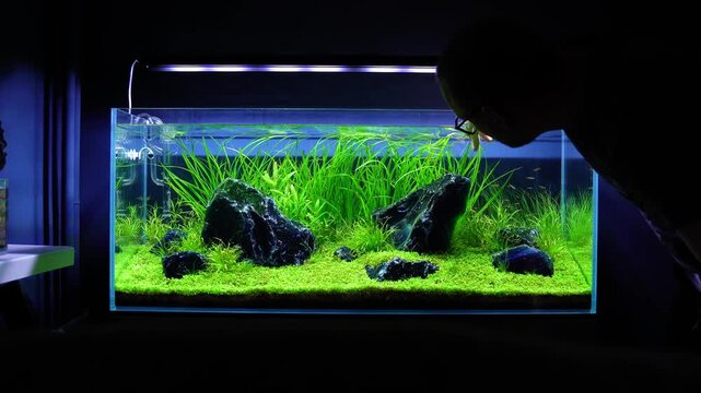 Aquascape and Aquascaping