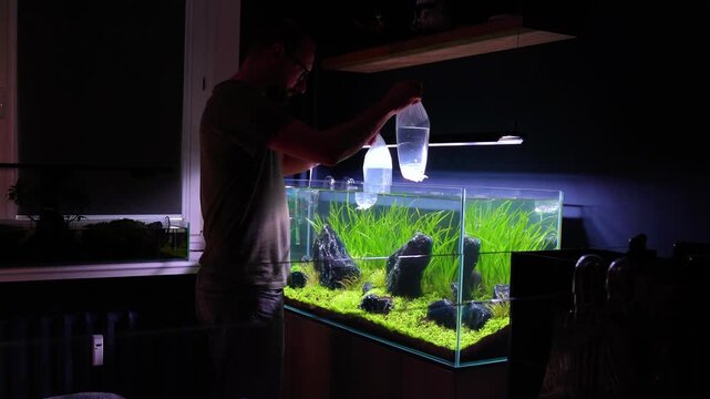 Aquascape and Aquascaping