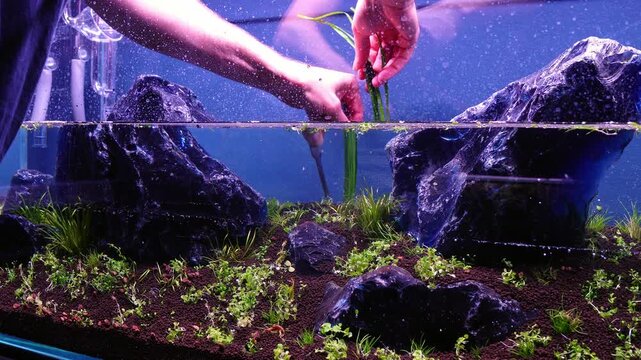 Aquascape and Aquascaping