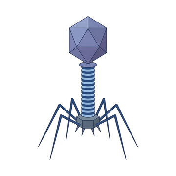 Bacteriophage T2 Virus Isolated