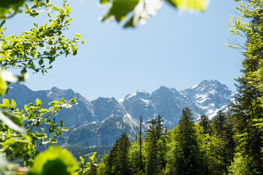 Travel landscape of Zugspitze mountain in Alps in Bavaria, Germany, scenic summer nature panorama with forest, snow mountains peak