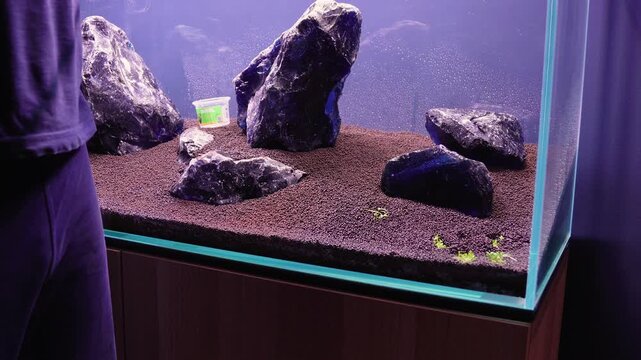 Aquascape and Aquascaping