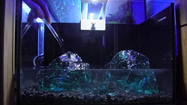 Aquascape and Aquascaping