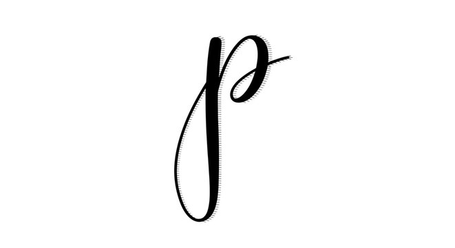Elegant Script Letter P - Black Calligraphy on White Background