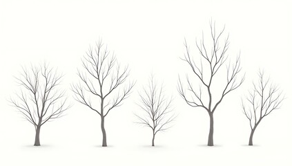 Obraz premium Group of bare winter trees with snow on branches