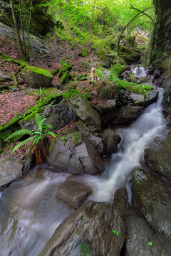 Golden retriever dog sitting by a beautiful waterfall with long exposure silk water effect in Gorbeia Natural Park, green mossy rocks, Basque Country