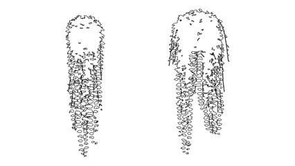 Hand drawn hanging plant vine top view icons bundle for landscape design and floor plans. © Sara Studio