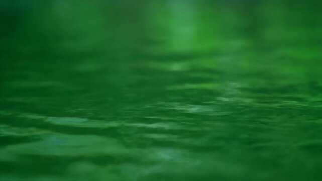 Green water surface dynamic material, green water surface floating fallen leaves