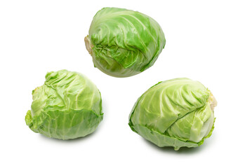 Fototapeta premium Cabbage isolated on white background.