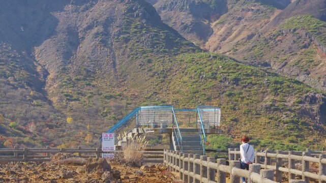 みやぎ蔵王三十六景 駒草平 Miyagi Zao Thirty-Six Views: Komakusa-daira