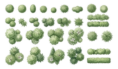 Set of top view trees and bushes for architectural landscape design isolated on white background © Hand Made Assets