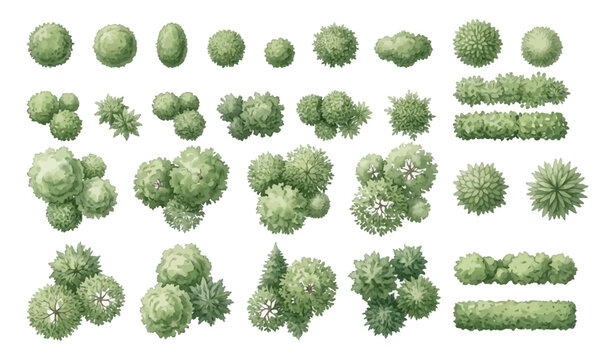 Set of top view trees and bushes for architectural landscape design isolated on white background