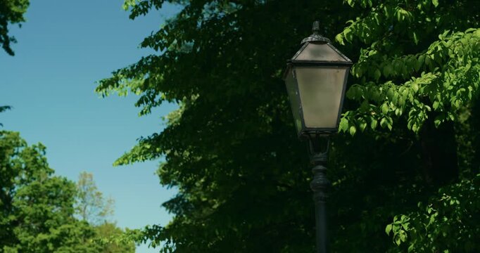 Vintage street lamp surrounded by green trees in Maksimir Park on a sunny day during Labor Day holiday.