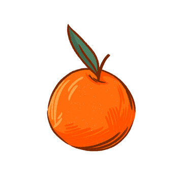 vector illustration of an orange, orange with leaves on the left side, 오랜지, fresh orang fruit