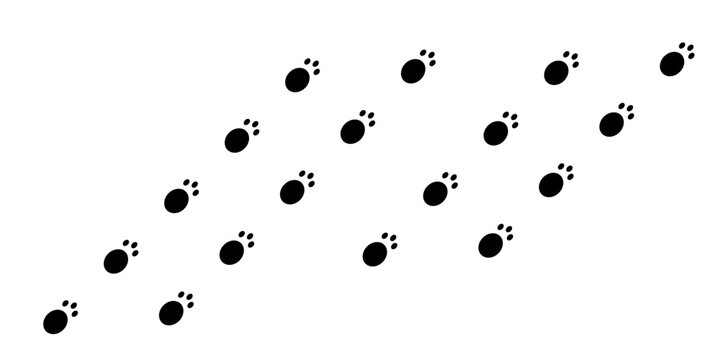Bunny wet or mud pawprints. Rabbit paw silhouettes stamps. Trace of steps of running or walking hare isolated on white background. Vector