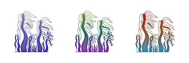 Seaweed ocean plant vector illustrations © FOYJUL