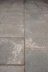 Fototapeta premium Grey outdoor paving stones in perspective with weathered white marks. Textured concrete floor block pattern.