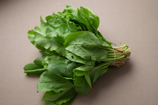 Bunch of fresh green organic sorrel leaves on a textured background. Raw dock salad greens or spinach tied with a rubber band, healthy eating vegan food ingredient, food photography.