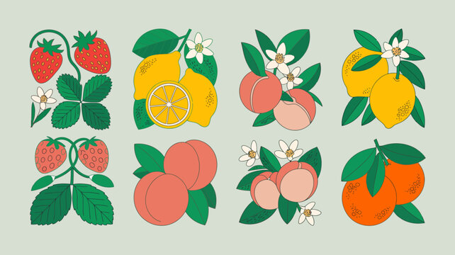 illustrated fruits and flowers vector illustration strawberry lemon peach orange green leaves white background botanical food nature graphic design pattern simple