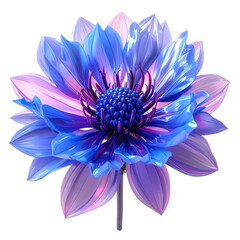 Obraz premium Vibrant Blue and Purple Dahlia Flower Close-Up.