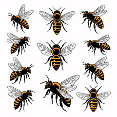 Fototapeta premium A collection of flying honey bees.