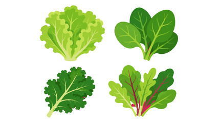 Set of leafy green vegetables in flat vector illustration © Artstock