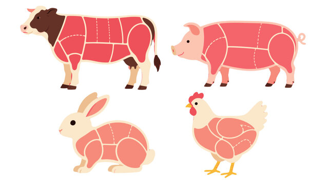 Butcher cuts diagram of cow pig rabbit and chicken