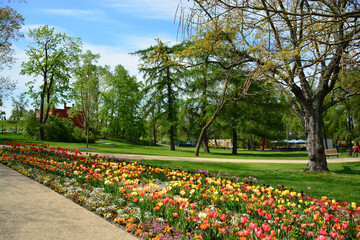 Obraz premium Blumenbeete im Park