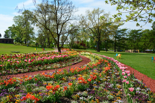 Blumenbeete im Park