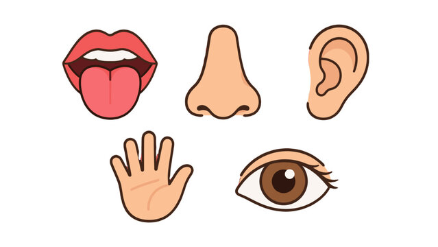 Five human senses icons with mouth nose ear hand and eye
