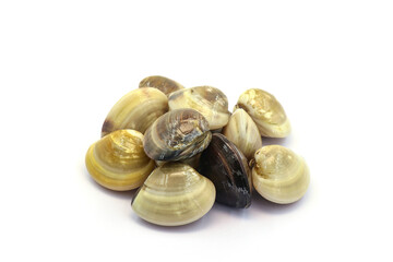 Closed up fresh baby clams. venus shell. shellfish. carpet clams. Food from nature. as raw food from the sea are the seafood ingredients. fresh clams isolated on white background © Pisan