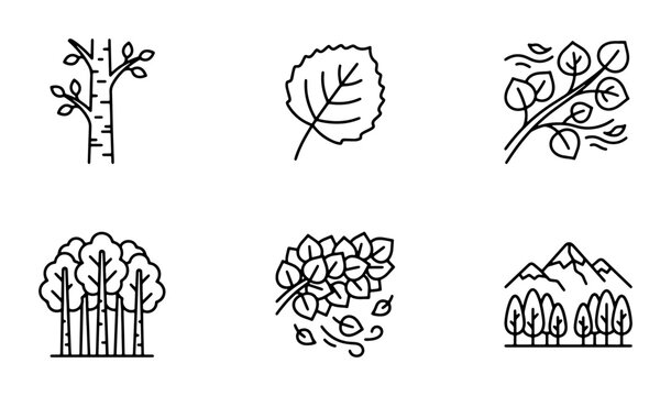 Aspen Tree Icons: Birch Trunk, Leaf, Branch, Forest, Falling Leaves, Mountain Landscape