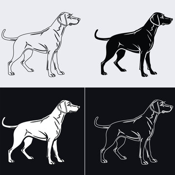 Standing shorthaired pointer hunting dog side profile vector illustration set, pointer or labrador silhouette and line art icons on light and dark backgrounds
