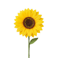 Obraz premium Isolated bright yellow sunflower blossom