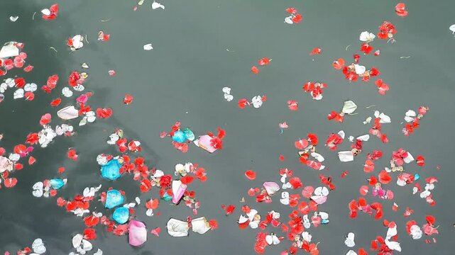 Red and white flower petals floating on dark water during a traditional religious ritual.