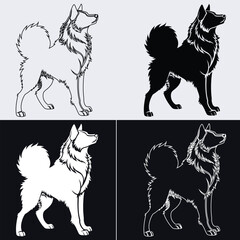 Standing fluffy husky dog profile vector illustration set, spitz canine silhouette and line art graphic design elements on light and dark background © Md