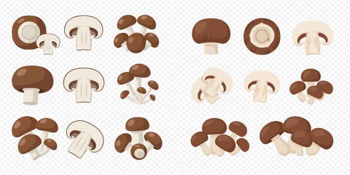 Set of fresh brown and white button mushrooms, whole and sliced, on a transparent background.