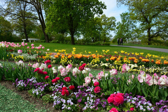 Blumenbeete im Park