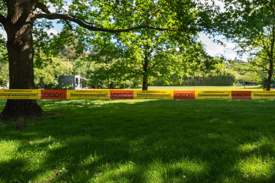 A yellow caution tape stretches across a shaded green lawn to warn about oak processionary moths. Trees, grass and dappled light show a closed park area.