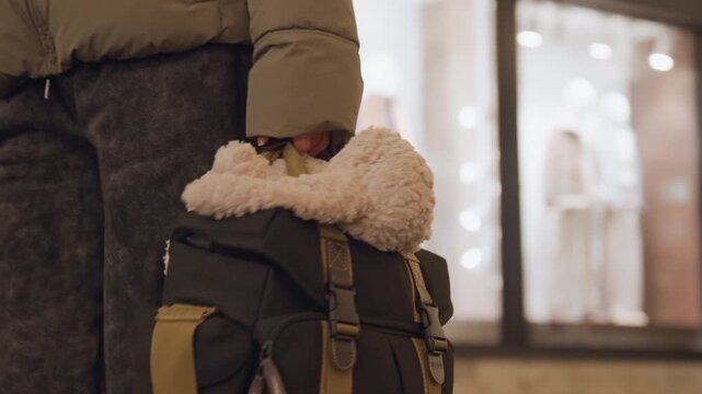 Closeup winter shopper white woman carrying backpack, textured puffer jacket and fuzzy teddy accessory, walking through illuminated storefront, urban evening vibe, stylish neutral tones, hands