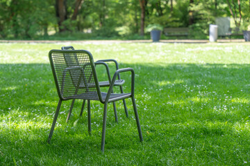 An empty metal chair stands on a green park lawn sprinkled with common daisies Bellis perennis. Trees and shaded benches create a peaceful summer recreation scene. © Jakob