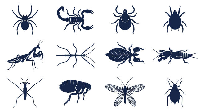 Flat silhouette vector icon set of 12 arthropods  spider silhouette  scorpion silhouette  tick silhouette  mite silhouette  praying mantis silhouette  stick insect silhouette  leaf insect silhouette  