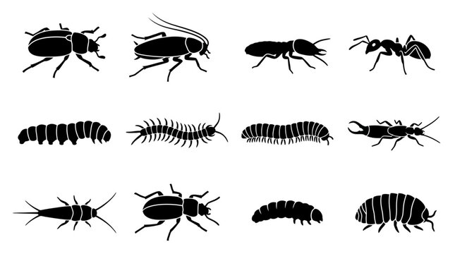 Flat silhouette vector icon set of 12 crawling insects  beetle silhouette  cockroach silhouette  termite silhouette  ant side view silhouette  caterpillar silhouette  centipede silhouette  millipede 