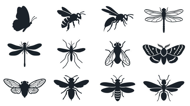 Flat silhouette vector icon set of 12 flying insects  butterfly side view silhouette  bee flying silhouette  wasp flying silhouette  dragonfly top view silhouette  damselfly silhouette  mosquito 